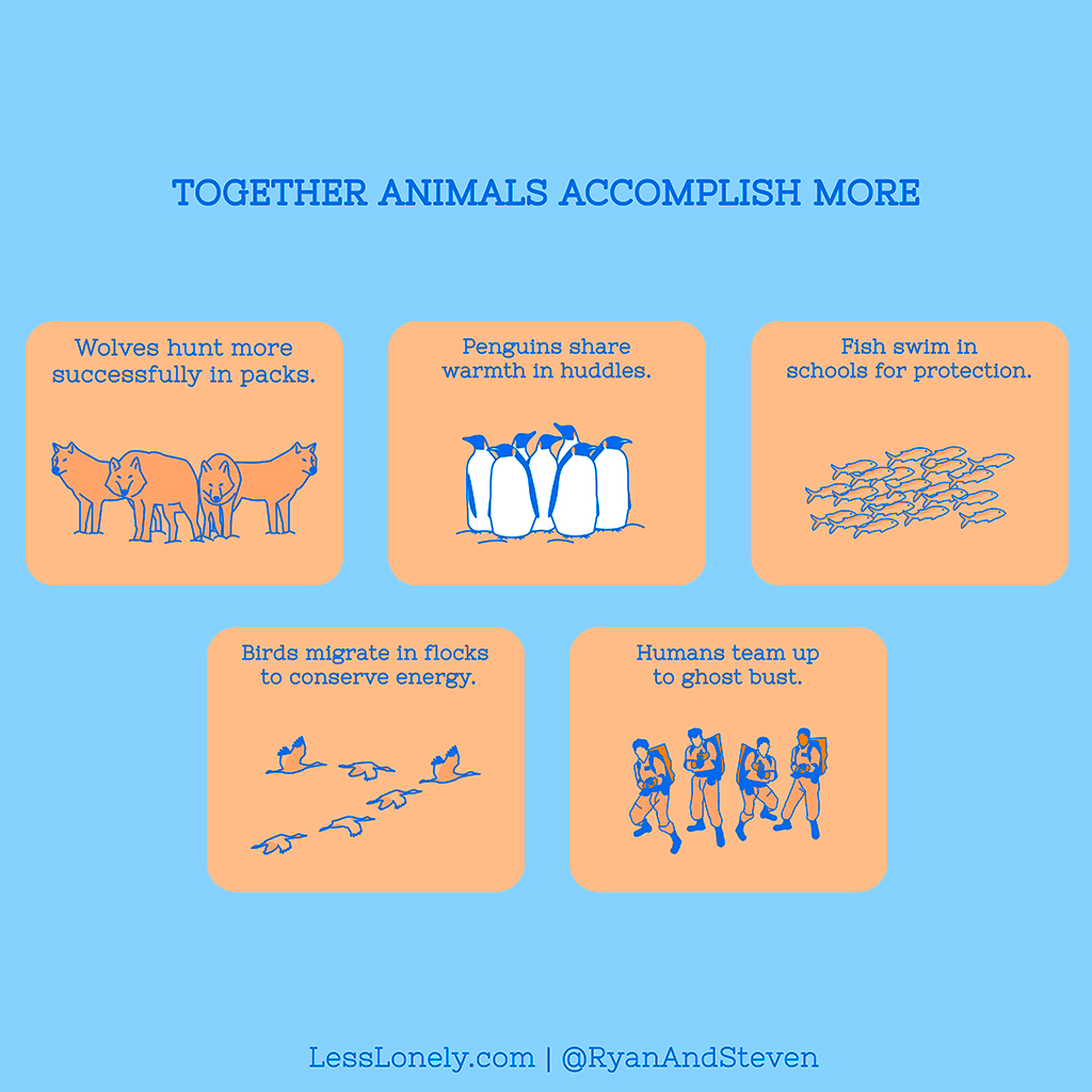 Together Animals Accomplish More copy